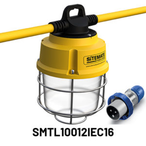 LED Temporary Site Lighting 5 x 20W 16A (12m)